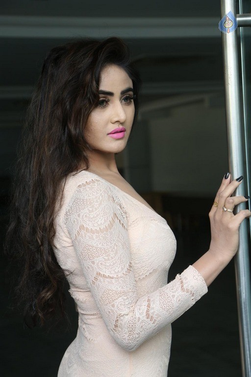 Sony Charishta Latest Gallery - 36 / 77 photos
