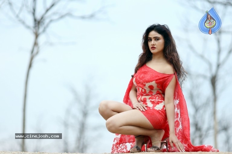 Sony Charishta Latest Photo Shoot - 2 / 12 photos