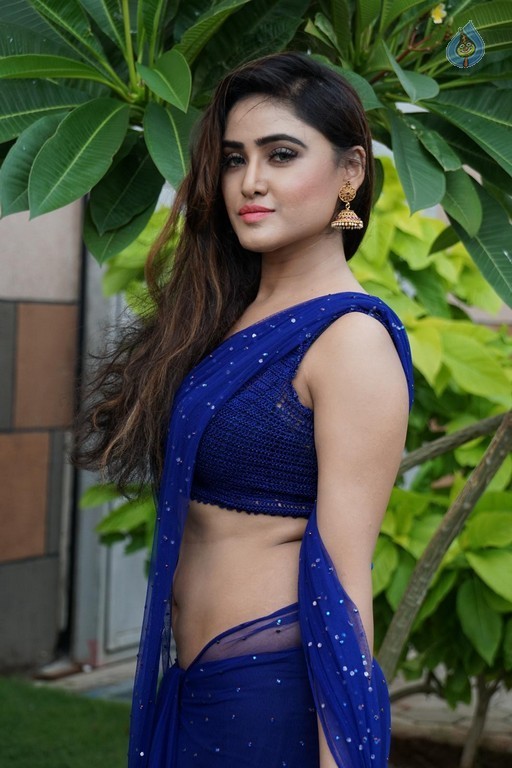 Sony Charishta Latest Pics - 31 / 42 photos