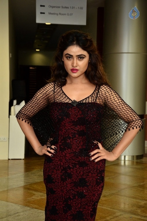 Sony Charishta New Gallery - 9 / 18 photos