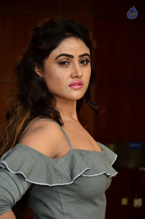 Sony Charishta New Gallery - 10 / 18 photos