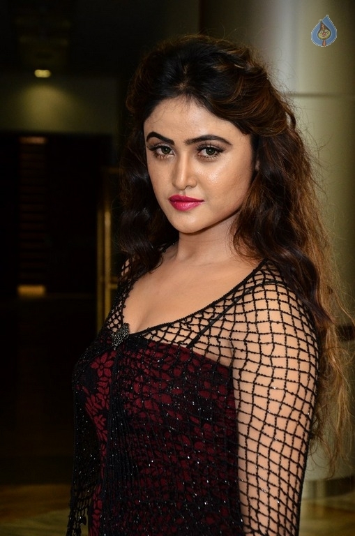 Sony Charishta New Gallery - 15 / 18 photos