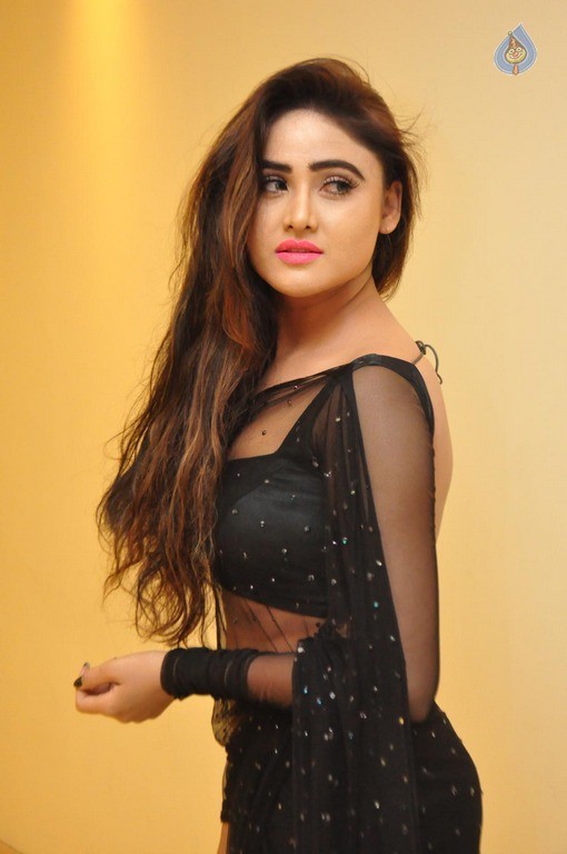 Sony Charishta New Gallery - 33 / 63 photos