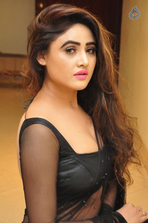 Sony Charishta New Gallery - 38 / 63 photos