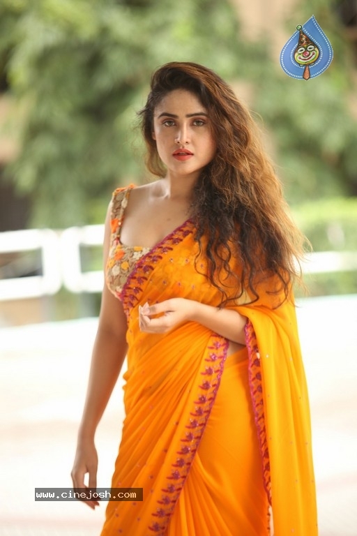 Sony Charishta New Photos - 53 / 53 photos