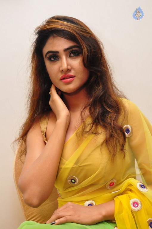 Sony Charishta New Photos - 10 / 33 photos