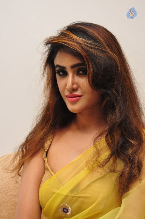 Sony Charishta New Photos - 18 / 33 photos