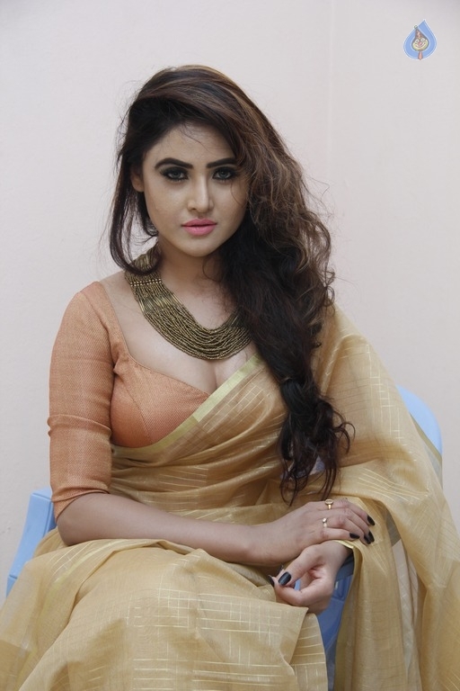 Sony Charishta New Photos - 8 / 17 photos