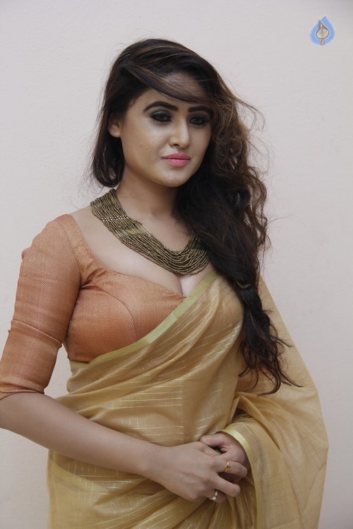 Sony Charishta New Photos - 9 / 17 photos