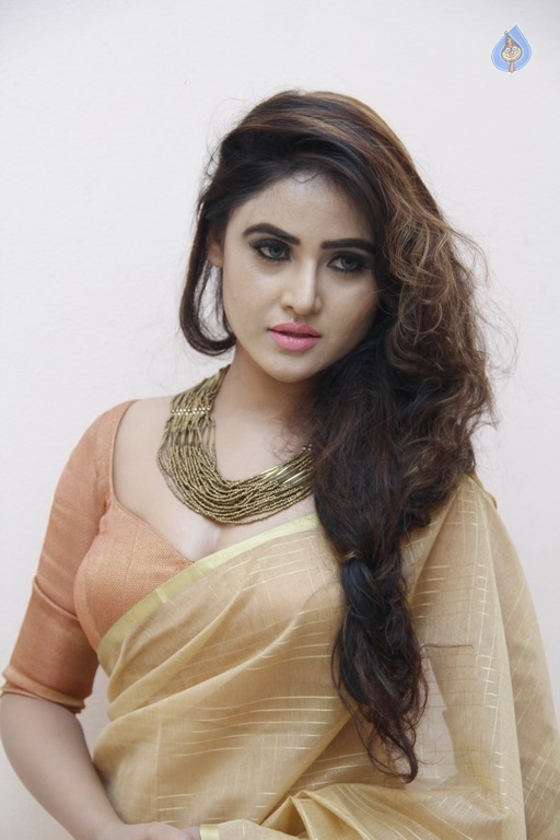 Sony Charishta New Photos - 10 / 17 photos