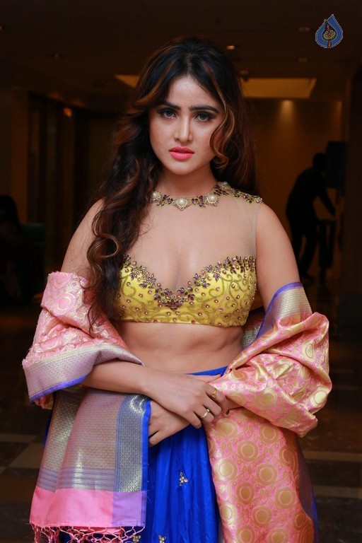 Sony Charishta New Pics - 32 / 41 photos