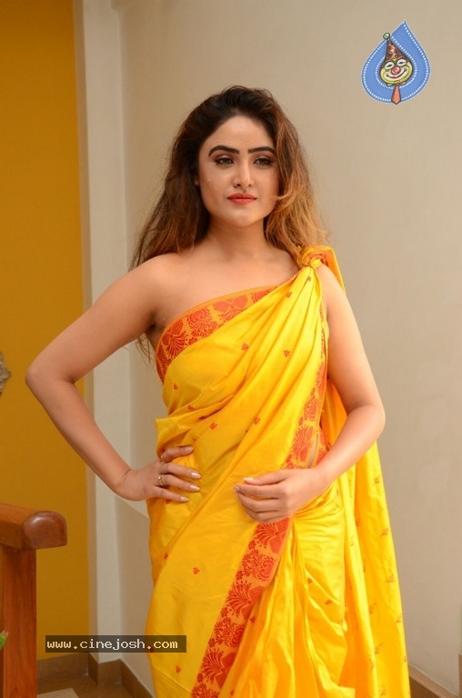 Sony Charishta Pics - 2 / 19 photos