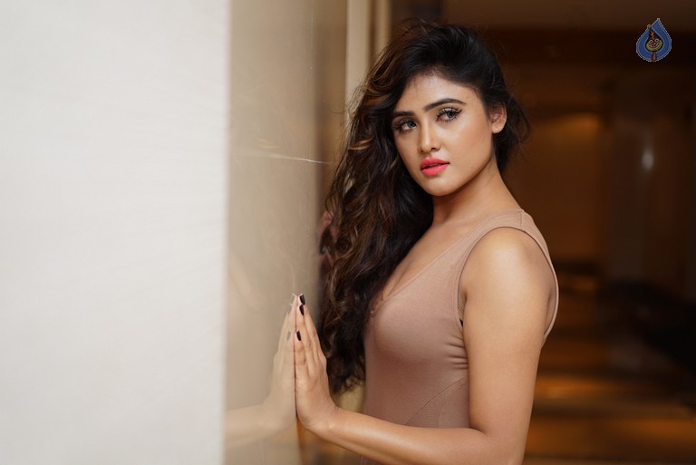 Sony Charishta Pics - 19 / 35 photos