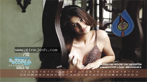 South Scope Calender 2010  Photo Gallery  - 24 / 24 photos