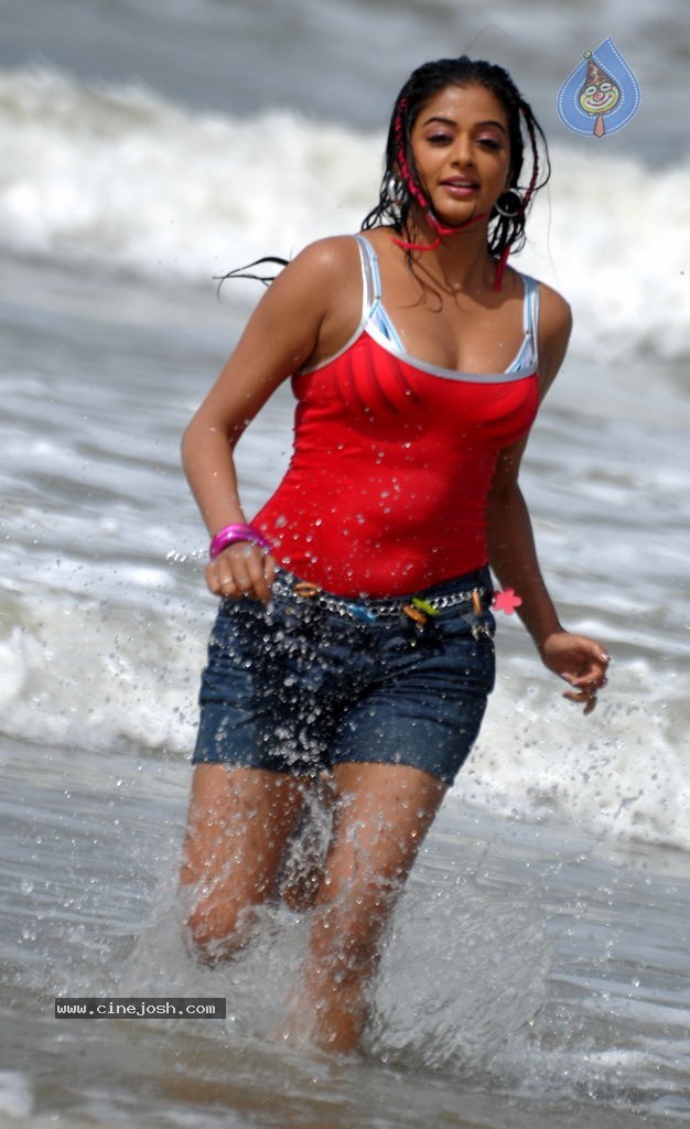 Priyamani Spicy Stills - 10 / 68 photos