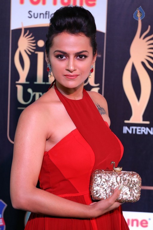 Sradda Stills at IIFA 2017 - 30 / 42 photos