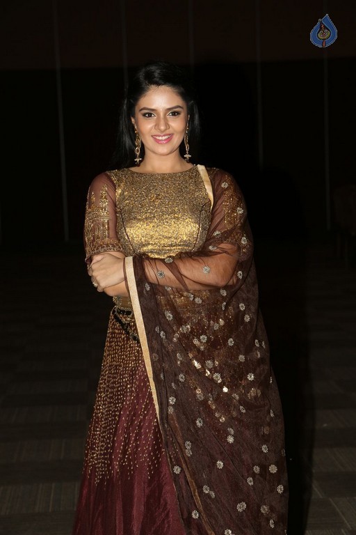 Sree Mukhi New Pics - 26 / 41 photos
