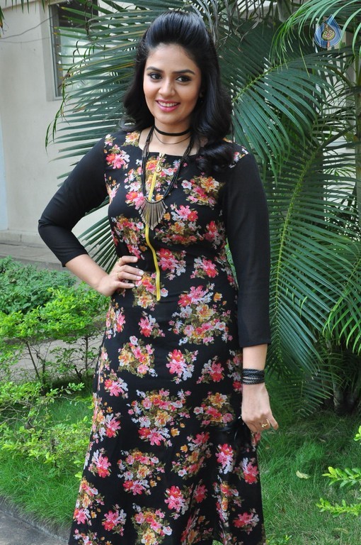 Sree Mukhi New Stills - 22 / 39 photos