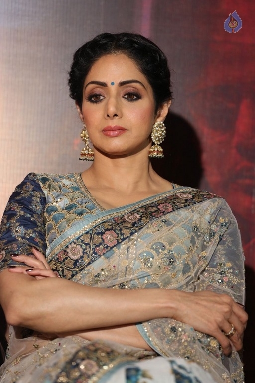 Sridevi Kapoor Photos - 6 / 38 photos