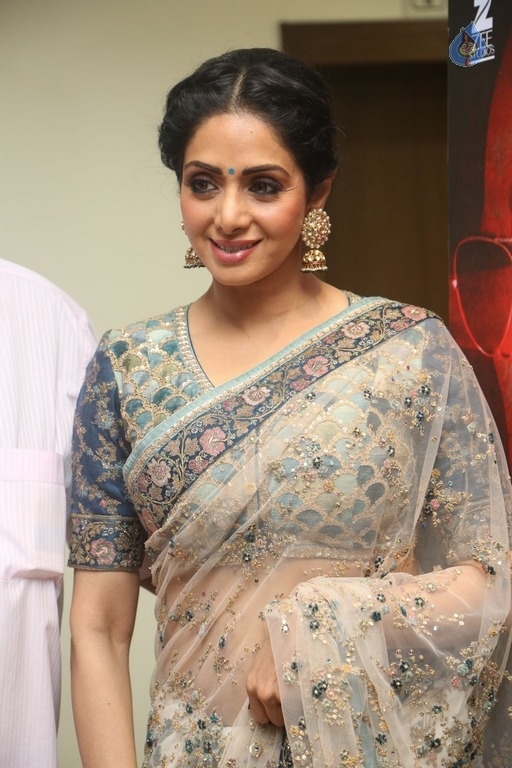 Sridevi Kapoor Photos - 8 / 38 photos