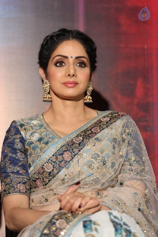 Sridevi Kapoor Photos - 9 / 38 photos