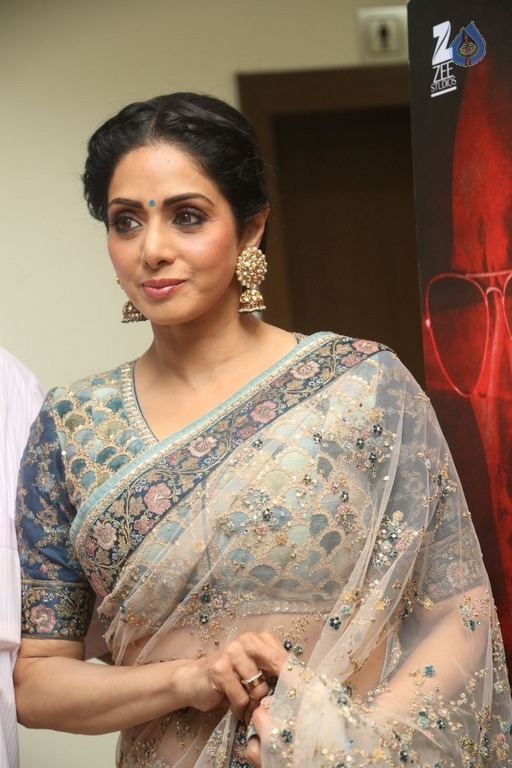 Sridevi Kapoor Photos - 33 / 38 photos