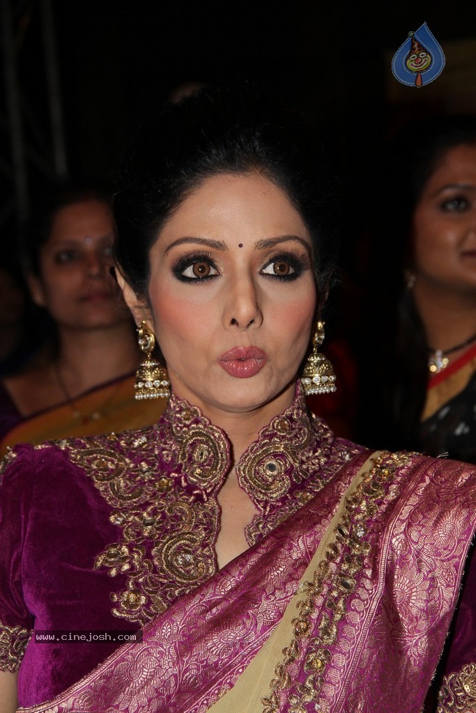 Sridevi Latest Stills - 4 / 71 photos