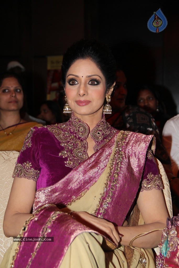 Sridevi Latest Stills - 5 / 71 photos