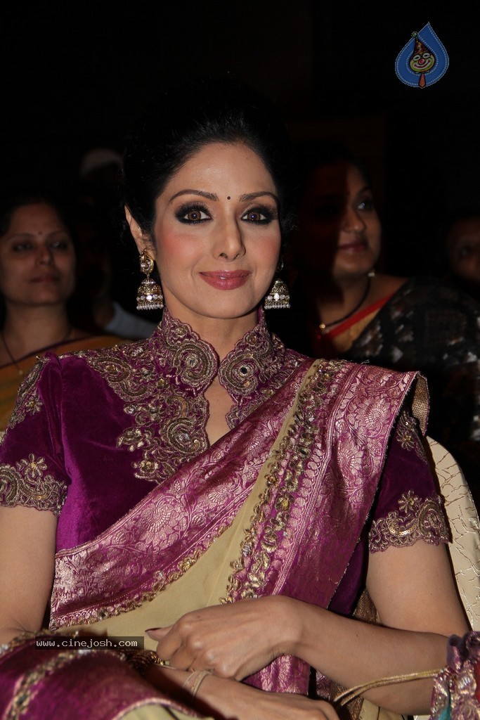 Sridevi Latest Stills - 6 / 71 photos