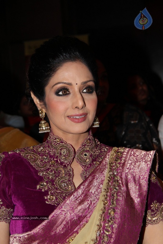 Sridevi Latest Stills - 8 / 71 photos