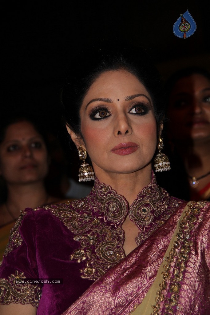 Sridevi Latest Stills - 10 / 71 photos