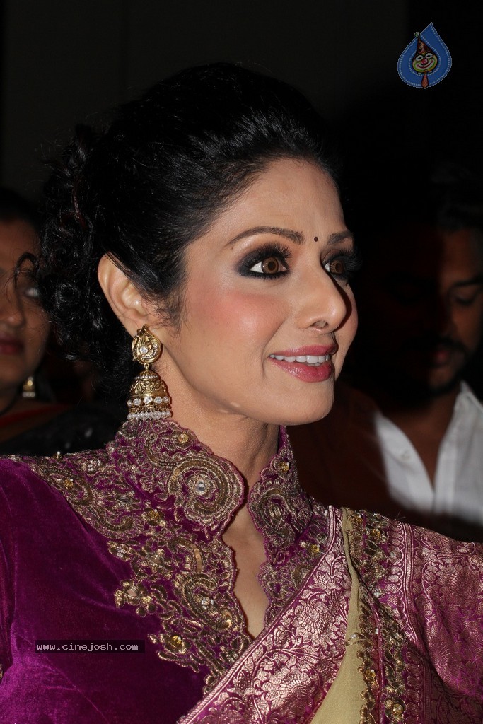 Sridevi Latest Stills - 16 / 71 photos