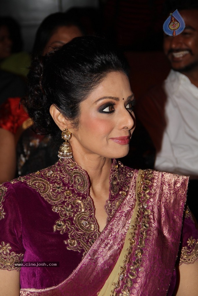 Sridevi Latest Stills - 21 / 71 photos