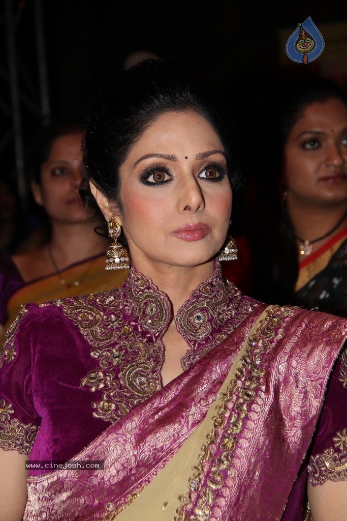 Sridevi Latest Stills - 34 / 71 photos