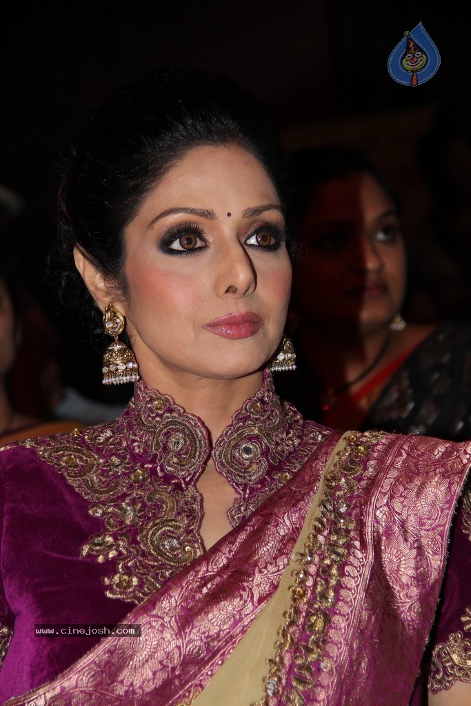 Sridevi Latest Stills - 36 / 71 photos