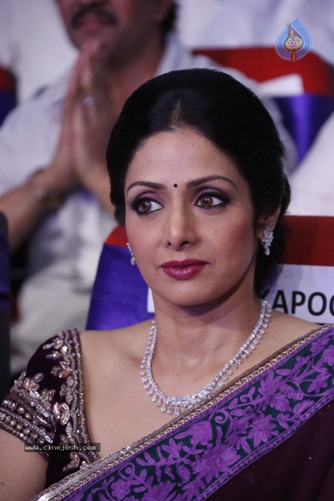 Sridevi New Stills - 11 / 47 photos