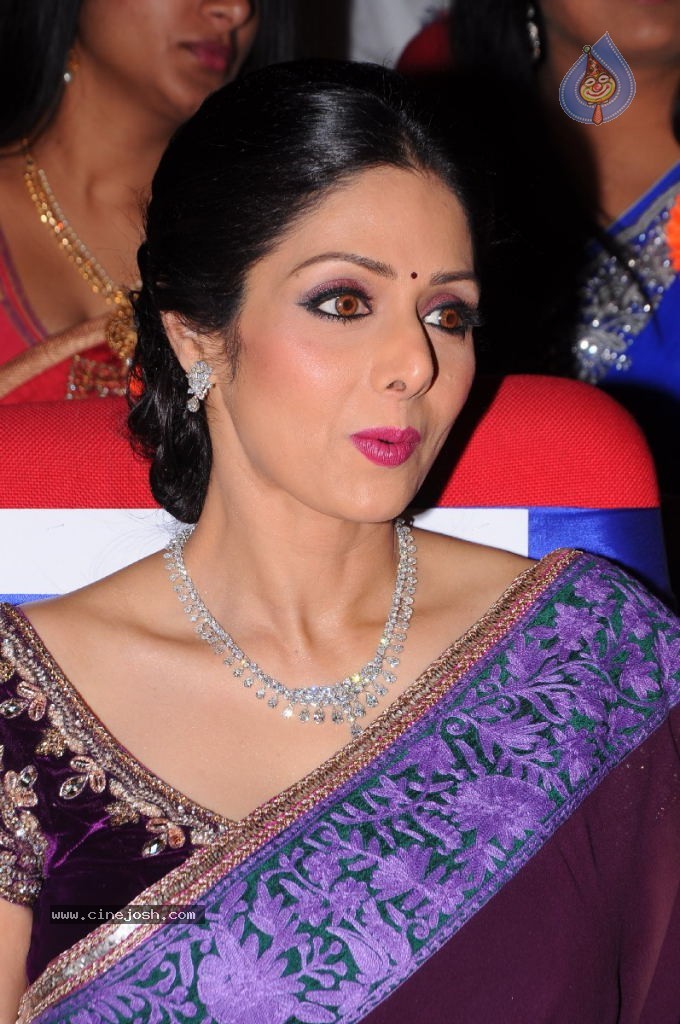 Sridevi New Stills - 13 / 47 photos