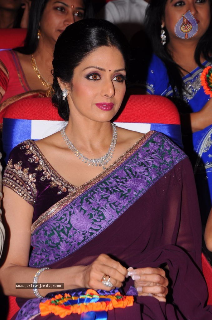 Sridevi New Stills - Photo 18 of 47