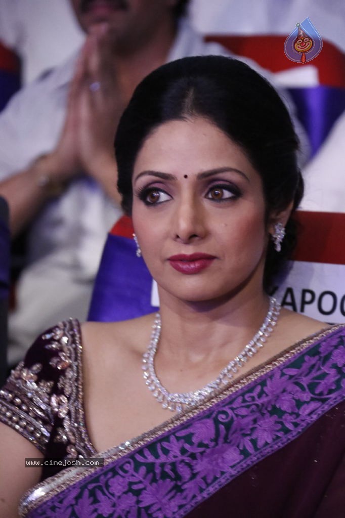 Sridevi New Stills - 28 / 47 photos