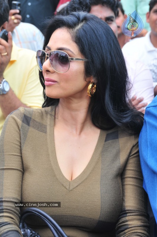 Sridevi Stills - 2 / 58 photos