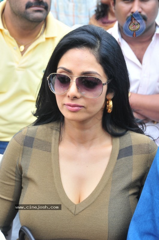 Sridevi Stills - 7 / 58 photos