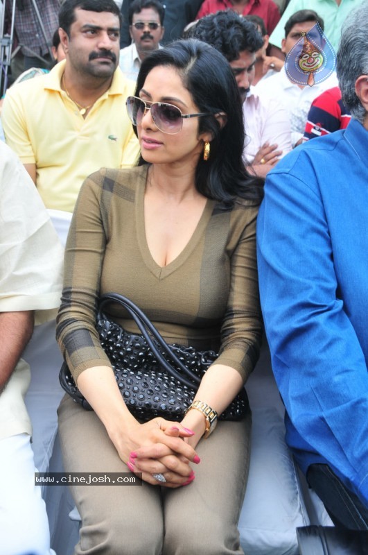 Sridevi Stills - 8 / 58 photos