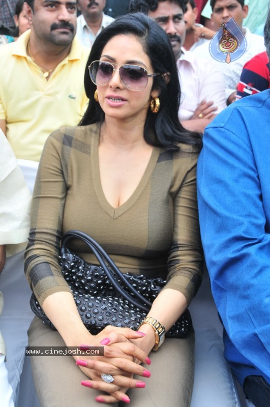 Sridevi Stills - 15 / 58 photos