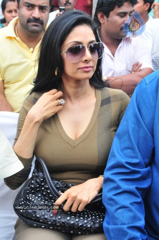 Sridevi Stills - 19 / 58 photos