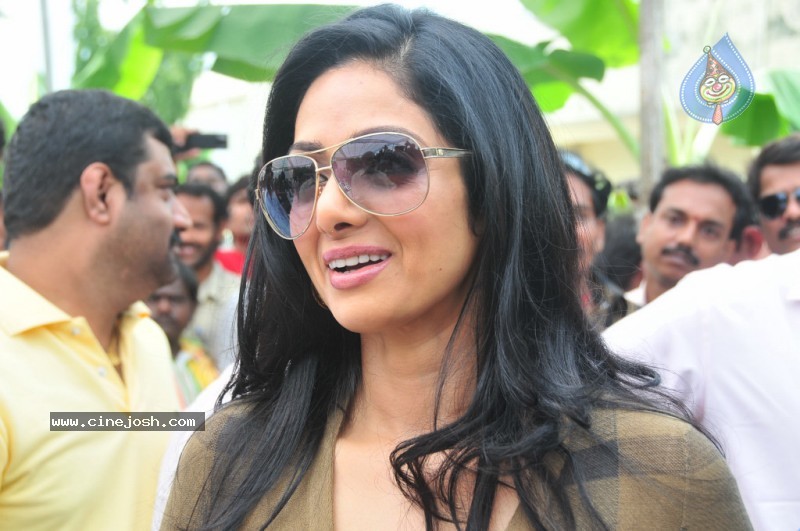 Sridevi Stills - 20 / 58 photos