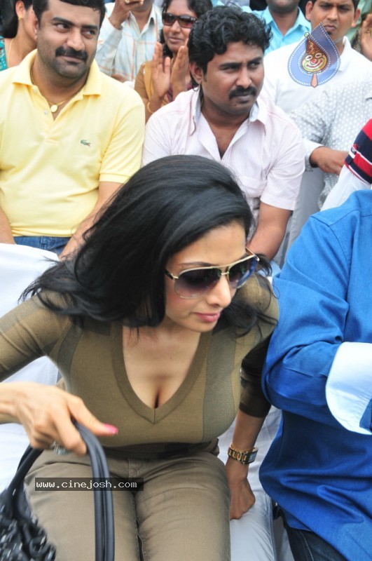 Sridevi Stills - 21 / 58 photos