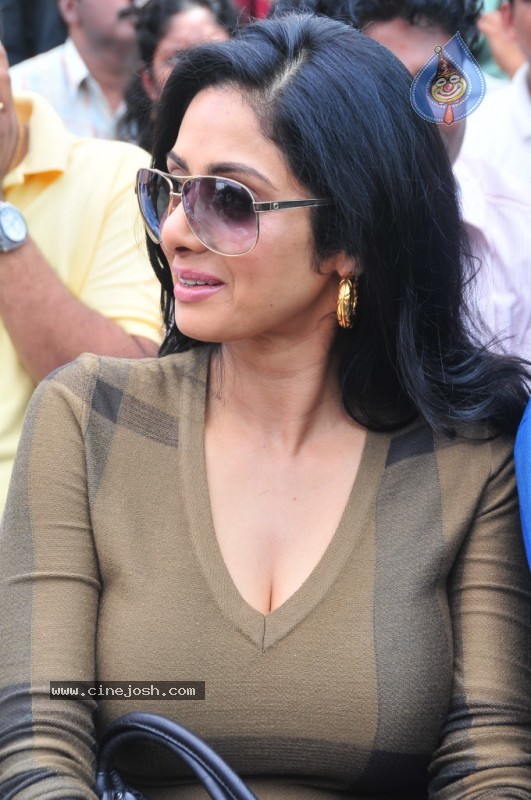 Sridevi Stills - 49 / 58 photos