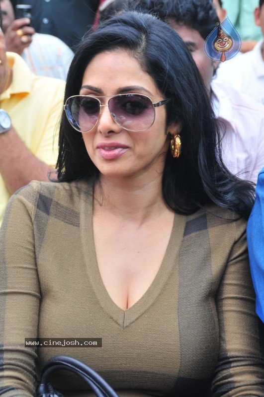 Sridevi Stills - 53 / 58 photos