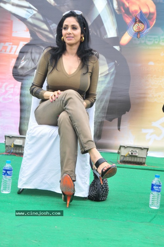 Sridevi Stills - 58 / 58 photos