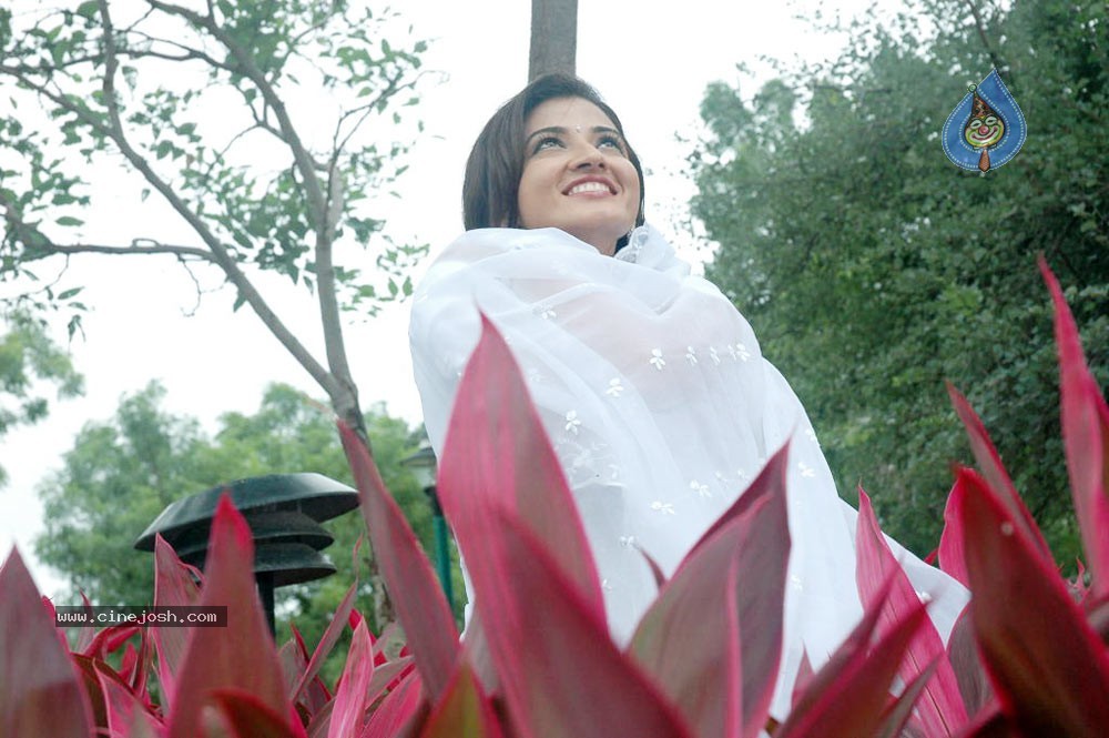Suhasi In vaade kavali Movie Stills - 62 / 128 photos